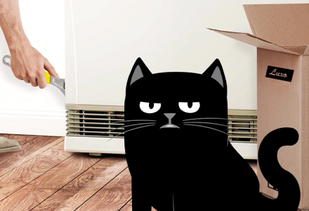 Claude the Cat