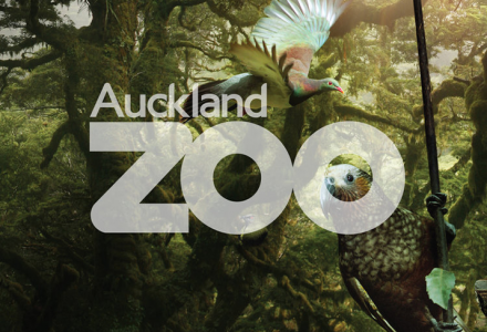 Auckland Zoo Airport Activation