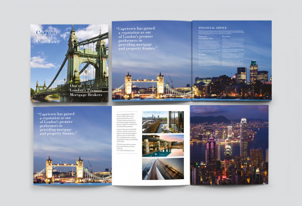 Capricorn Financial Consultancy Collateral